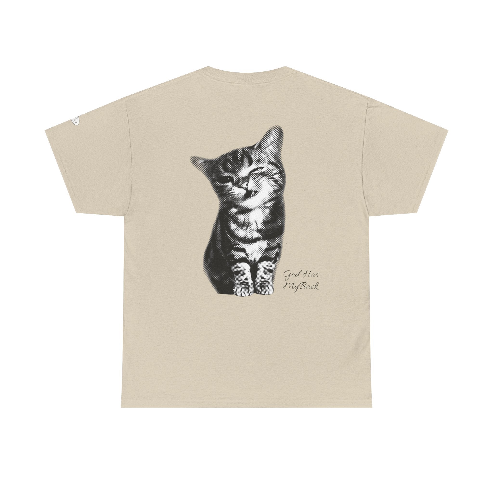 Tabby Cat T