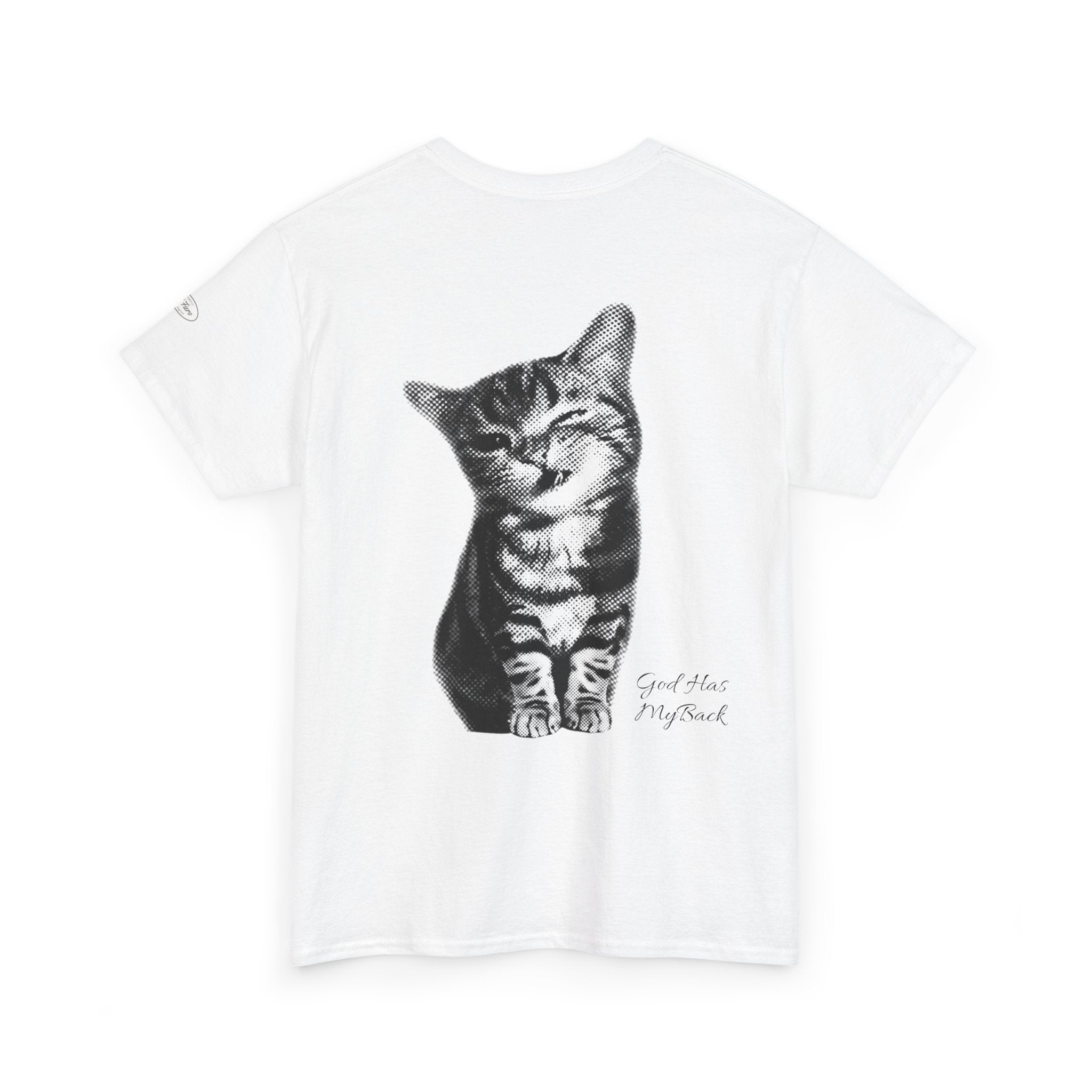 Tabby Cat T