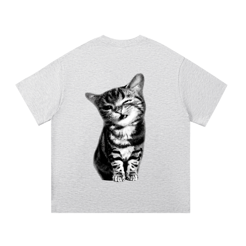 Tabby Cat T