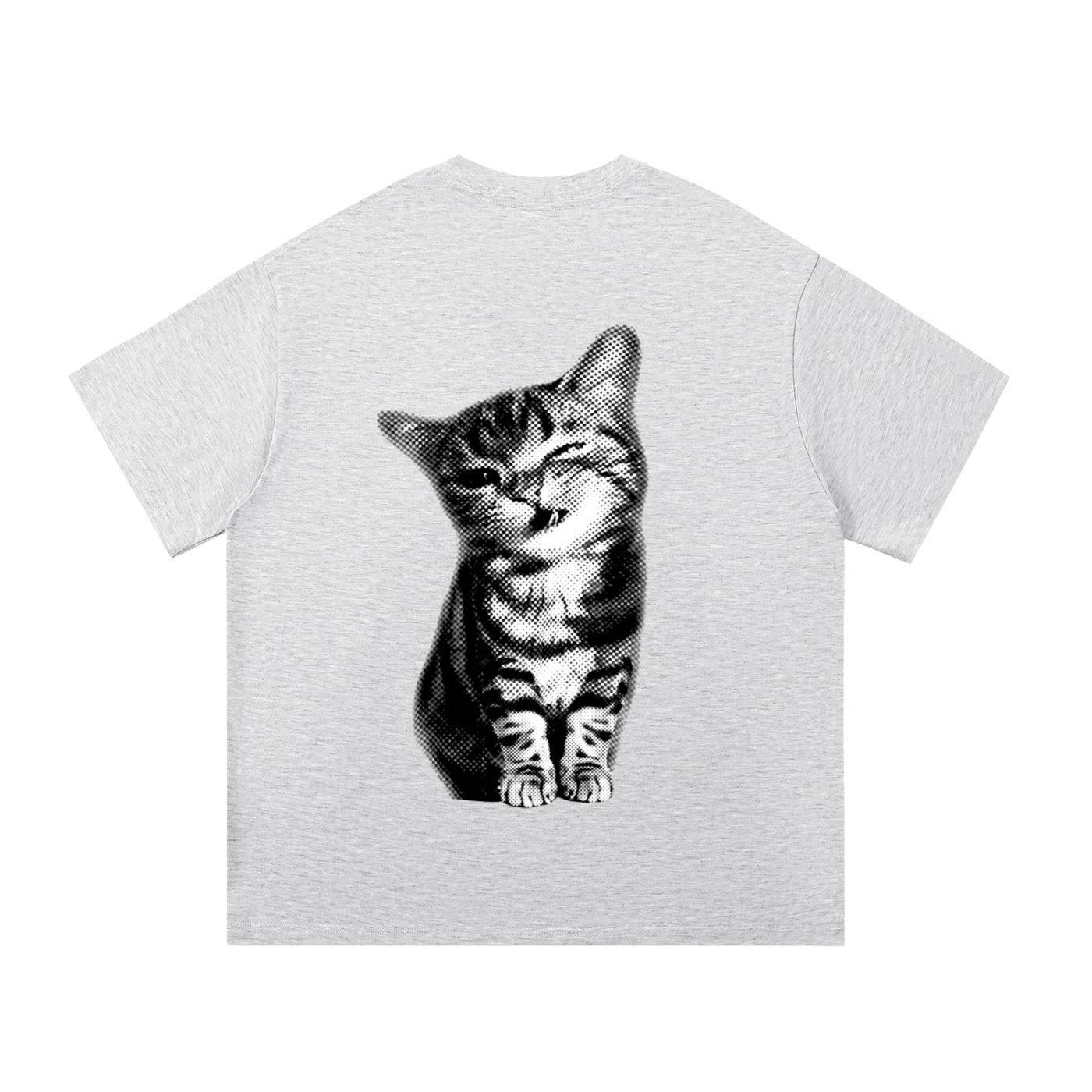Tabby Cat T