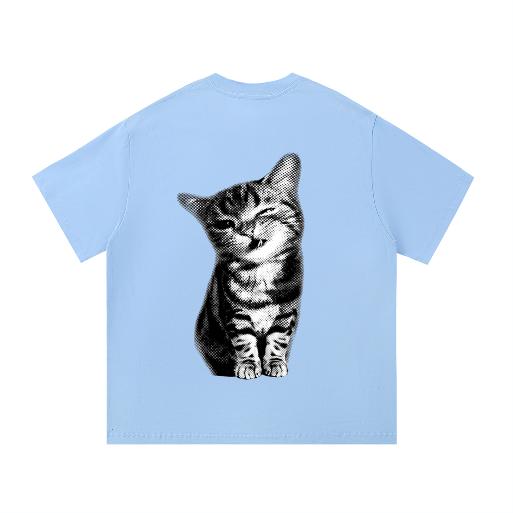 Tabby Cat T