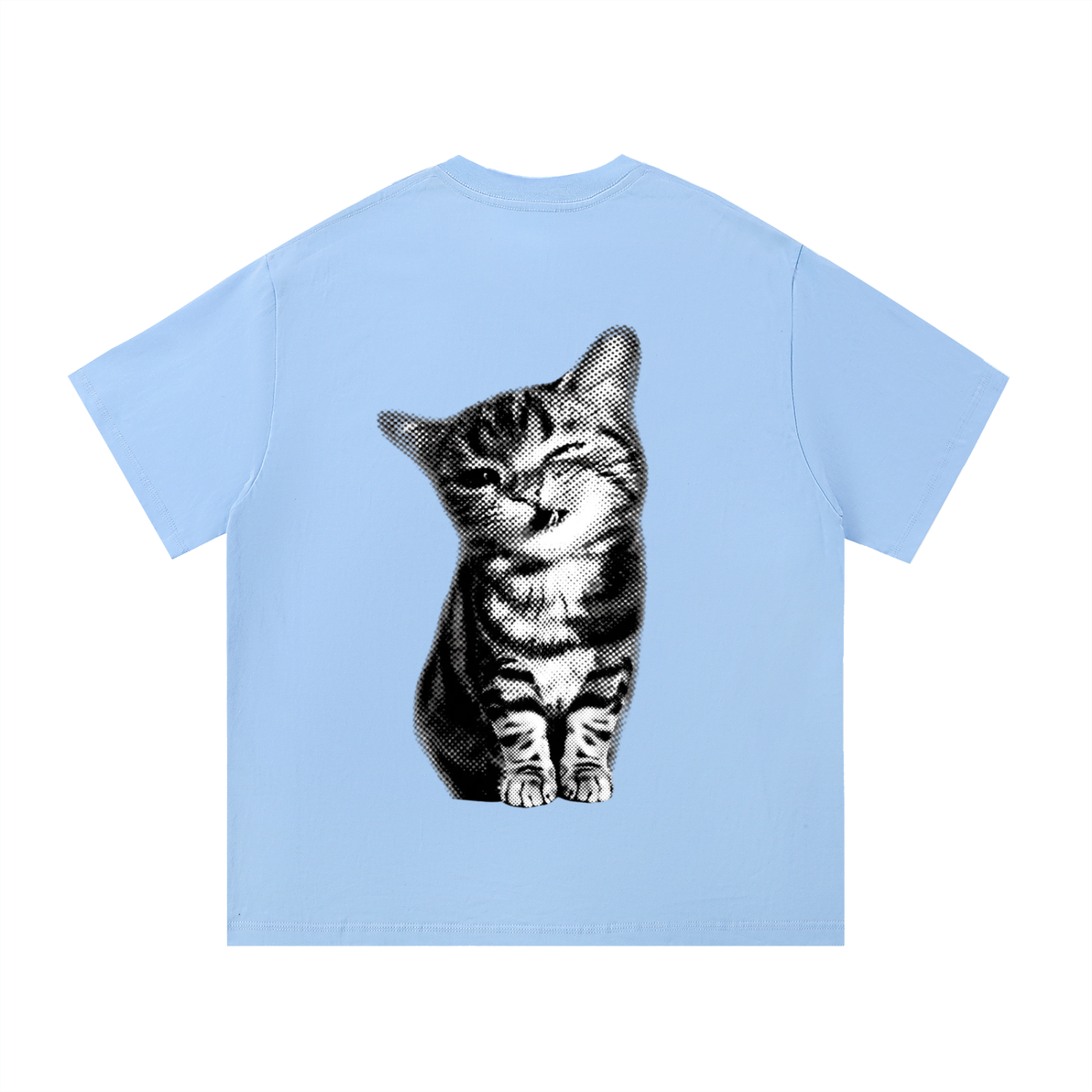 Tabby Cat T