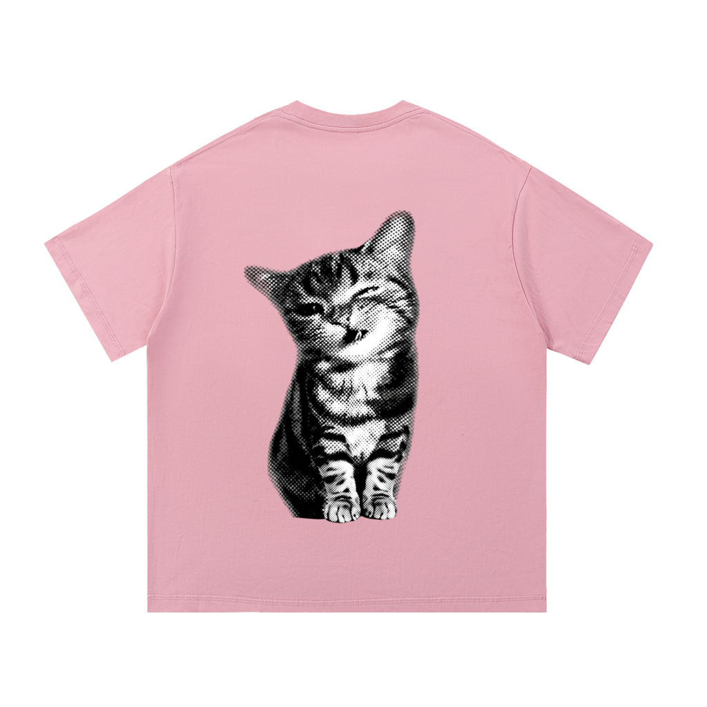 Tabby Cat T
