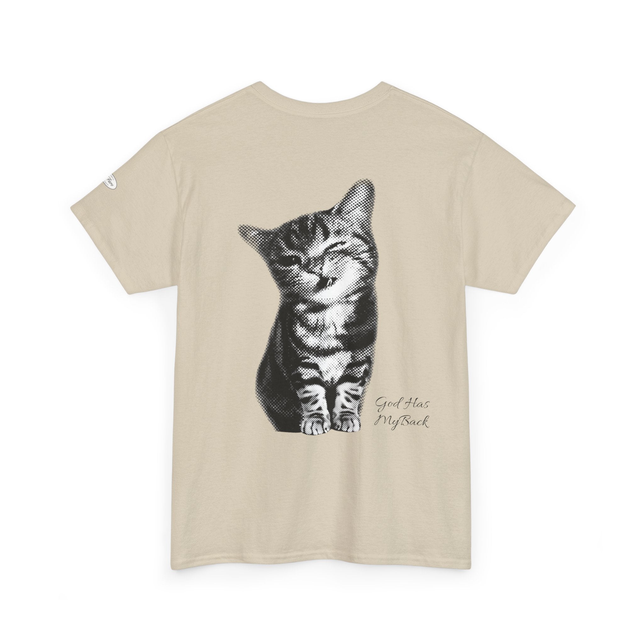 Tabby Cat T