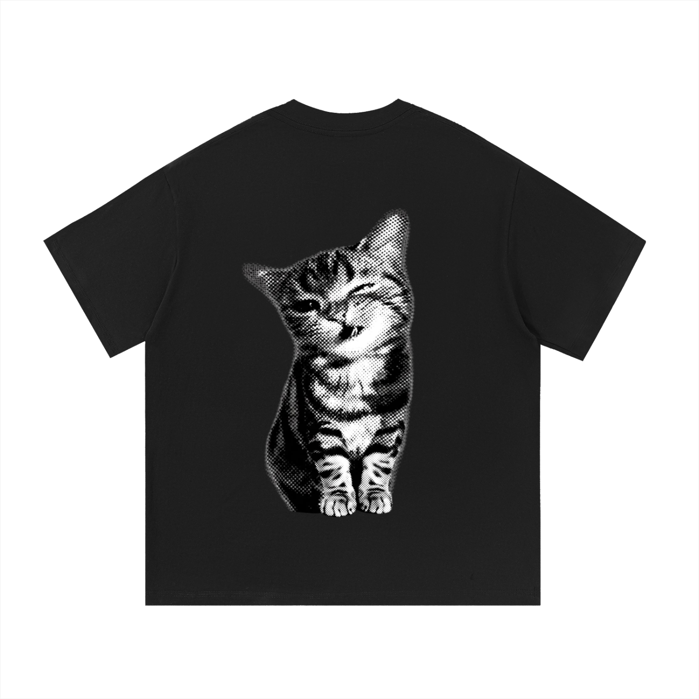 Tabby Cat T