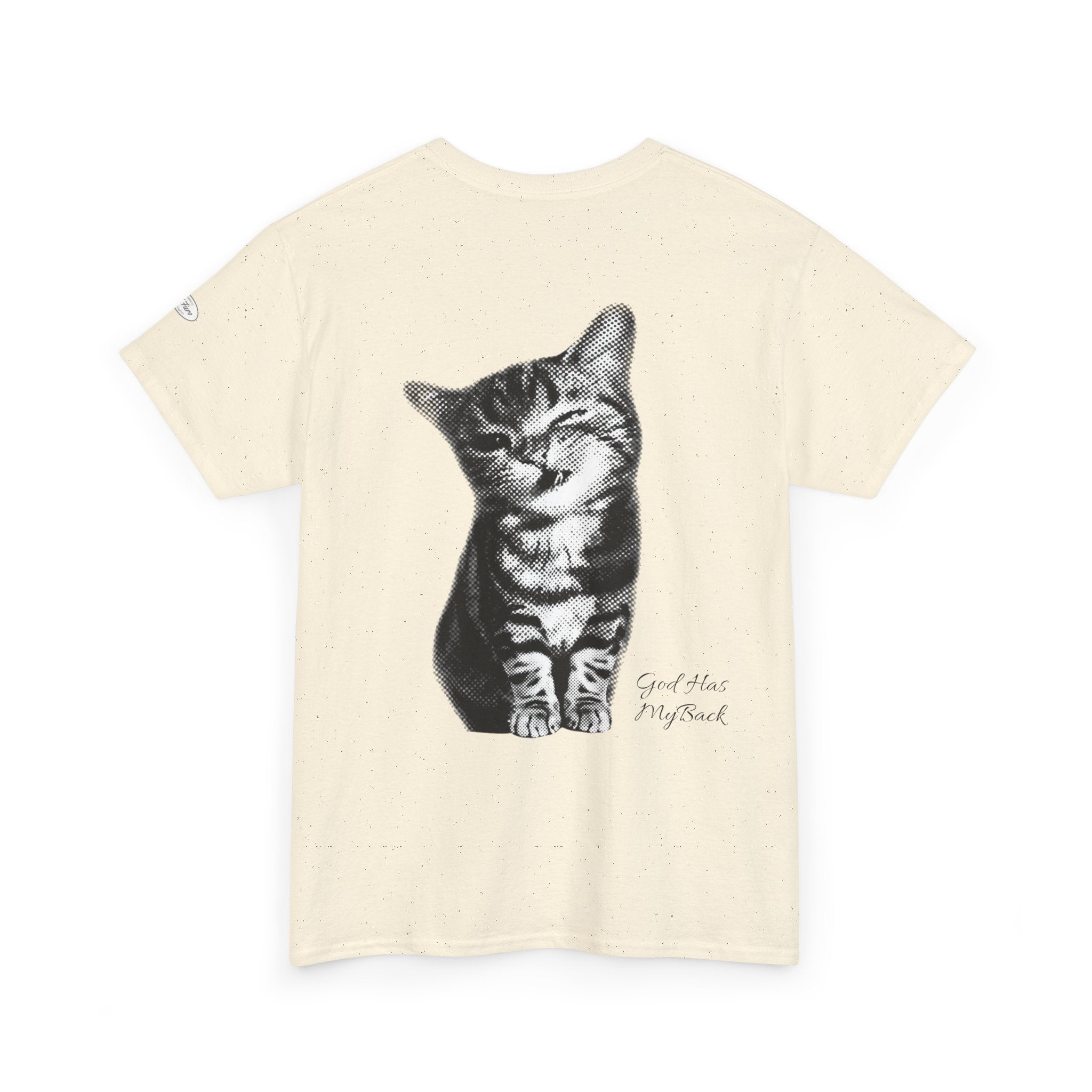 Tabby Cat T