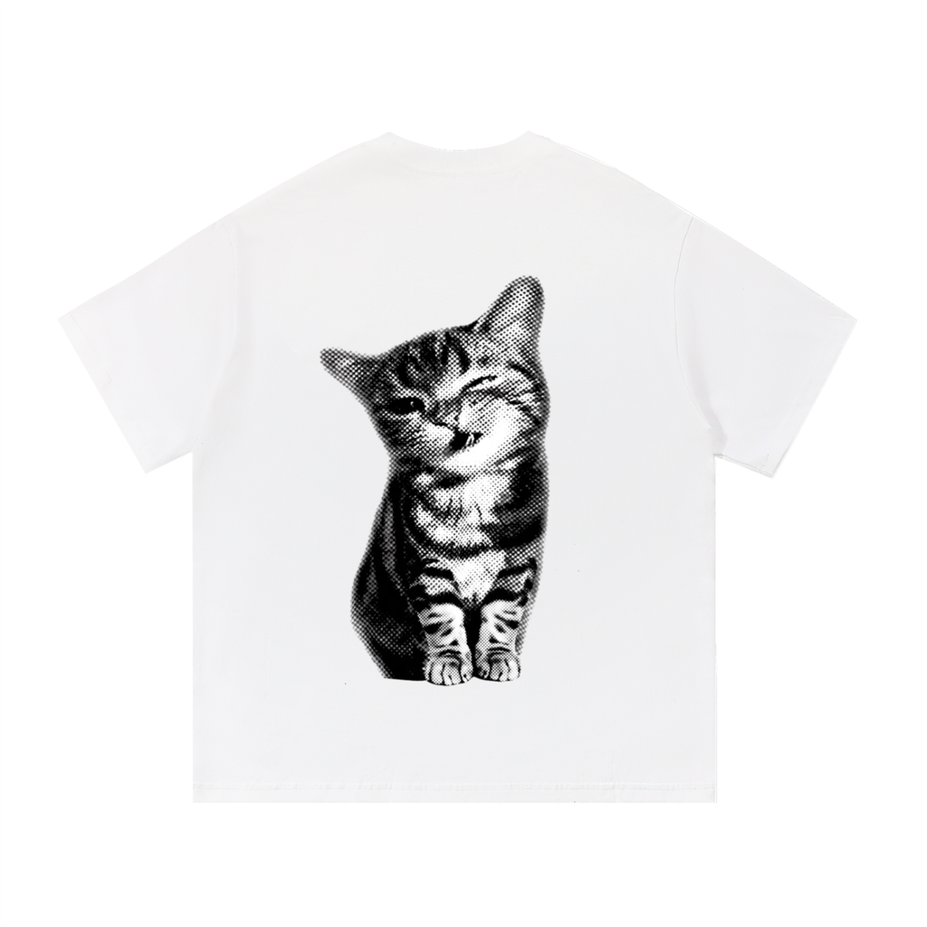 Tabby Cat T