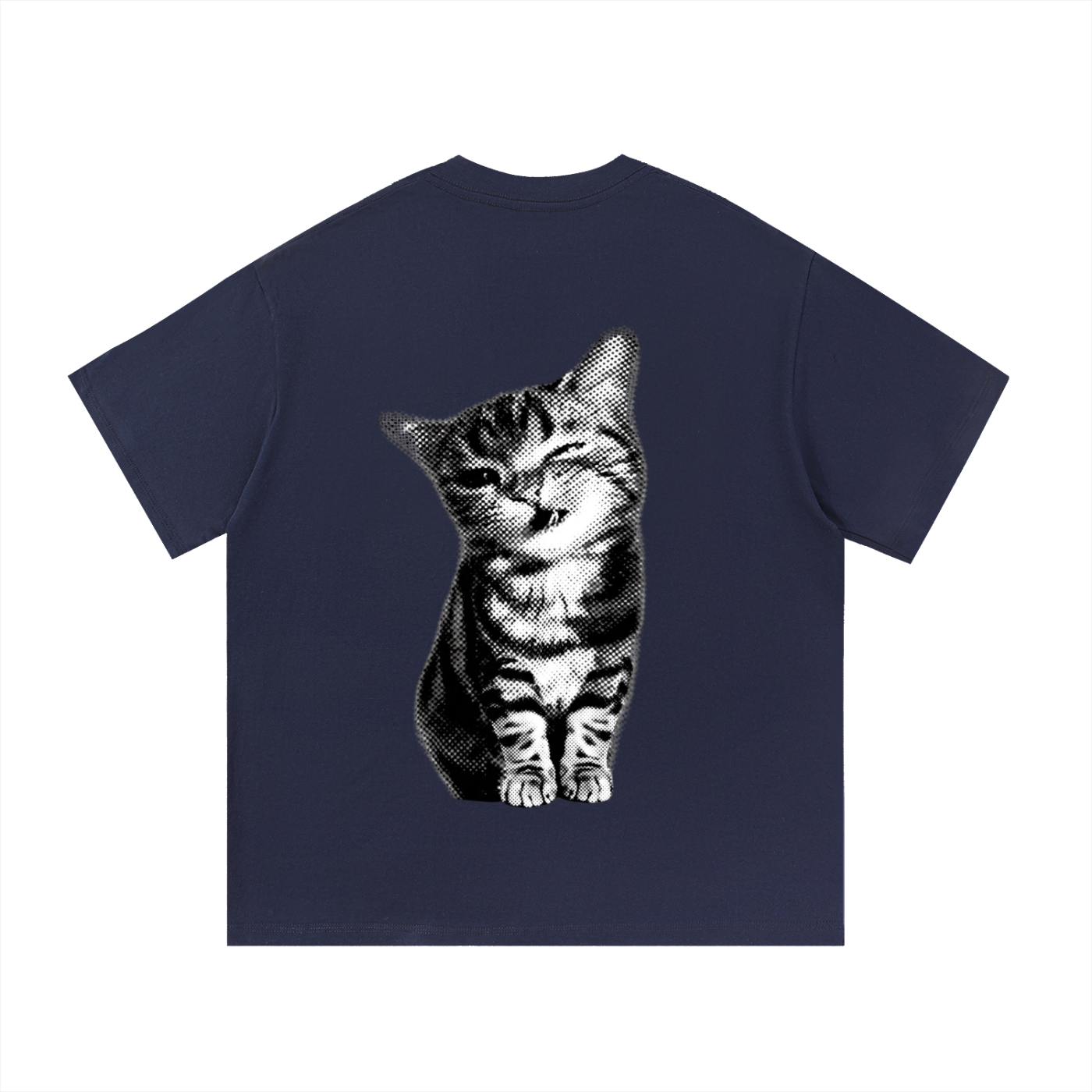 Tabby Cat T